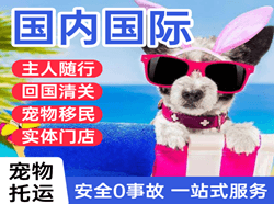 沈阳桃仙航空快运国际宠物托运 【国